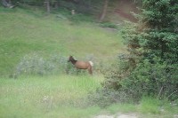 IMGP5480.JPG IMGP5480.JPG