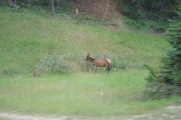 IMGP5481.JPG IMGP5481.JPG