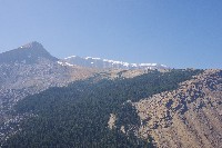 IMGP5583.JPG IMGP5583.JPG