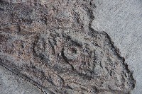 IMGP5588.JPG IMGP5588.JPG