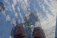 IMGP5599.JPG IMGP5599.JPG