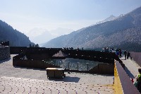 IMGP5628.JPG IMGP5628.JPG