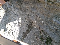 IMG_20180809_112446.jpg IMG_20180809_112446.jpg