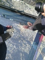 IMG_20180809_113241.jpg IMG_20180809_113241.jpg