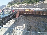 IMG_20180809_113352.jpg IMG_20180809_113352.jpg