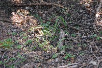 IMGP5630.JPG IMGP5630.JPG