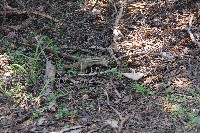 IMGP5632.JPG IMGP5632.JPG