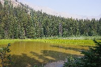 IMGP5634.JPG IMGP5634.JPG