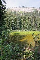 IMGP5635.JPG IMGP5635.JPG