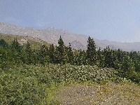 IMG_20180809_140258.jpg IMG_20180809_140258.jpg