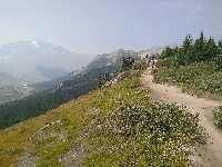 IMG_20180809_140305.jpg IMG_20180809_140305.jpg