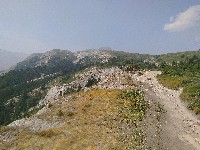 IMG_20180809_141805.jpg IMG_20180809_141805.jpg