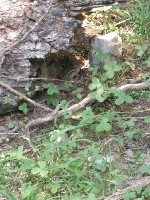 IMG_20180809_143738.jpg IMG_20180809_143738.jpg