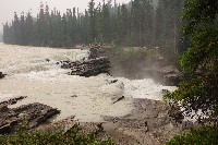 IMGP5958.JPG IMGP5958.JPG