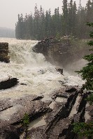 IMGP5960.JPG IMGP5960.JPG