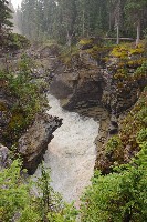 IMGP5963.JPG IMGP5963.JPG