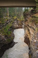 IMGP5964.JPG IMGP5964.JPG