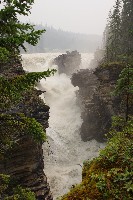 IMGP5965.JPG IMGP5965.JPG