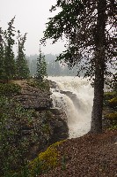 IMGP5966.JPG IMGP5966.JPG