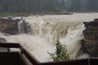 IMGP5967.JPG IMGP5967.JPG