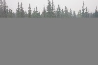 IMGP5968.JPG IMGP5968.JPG