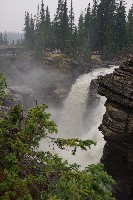 IMGP5970.JPG IMGP5970.JPG