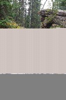 IMGP5971.JPG IMGP5971.JPG