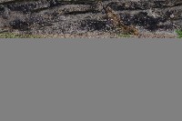 IMGP5973.JPG IMGP5973.JPG