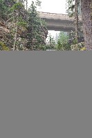 IMGP5976.JPG IMGP5976.JPG