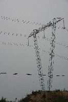 IMGP5983.JPG IMGP5983.JPG