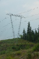 IMGP5984.JPG IMGP5984.JPG