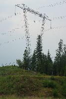 IMGP5986.JPG IMGP5986.JPG