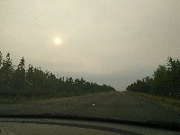 IMG_20180811_181313.jpg IMG_20180811_181313.jpg