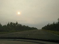 IMG_20180811_181316.jpg IMG_20180811_181316.jpg