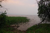 IMGP5990.JPG IMGP5990.JPG