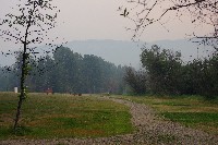 IMGP5993.JPG IMGP5993.JPG