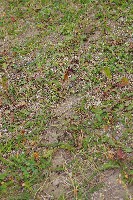 IMGP5997.JPG IMGP5997.JPG