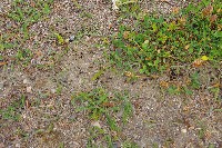 IMGP5998.JPG IMGP5998.JPG