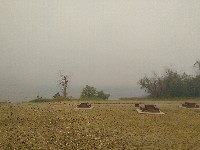 IMG_20180812_091153.jpg IMG_20180812_091153.jpg