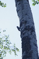 IMGP6060.JPG IMGP6060.JPG