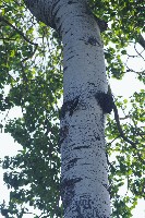 IMGP6065.JPG IMGP6065.JPG