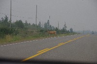 IMGP6071.JPG IMGP6071.JPG