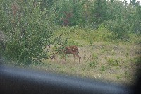 IMGP6072.JPG IMGP6072.JPG