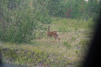 IMGP6073.JPG IMGP6073.JPG