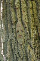 IMGP6080.JPG IMGP6080.JPG