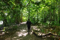 IMGP6081.JPG IMGP6081.JPG