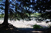 IMGP6082.JPG IMGP6082.JPG