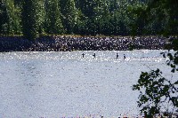 IMGP6083.JPG IMGP6083.JPG