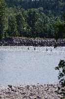 IMGP6084.JPG IMGP6084.JPG