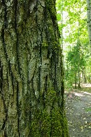 IMGP6087.JPG IMGP6087.JPG